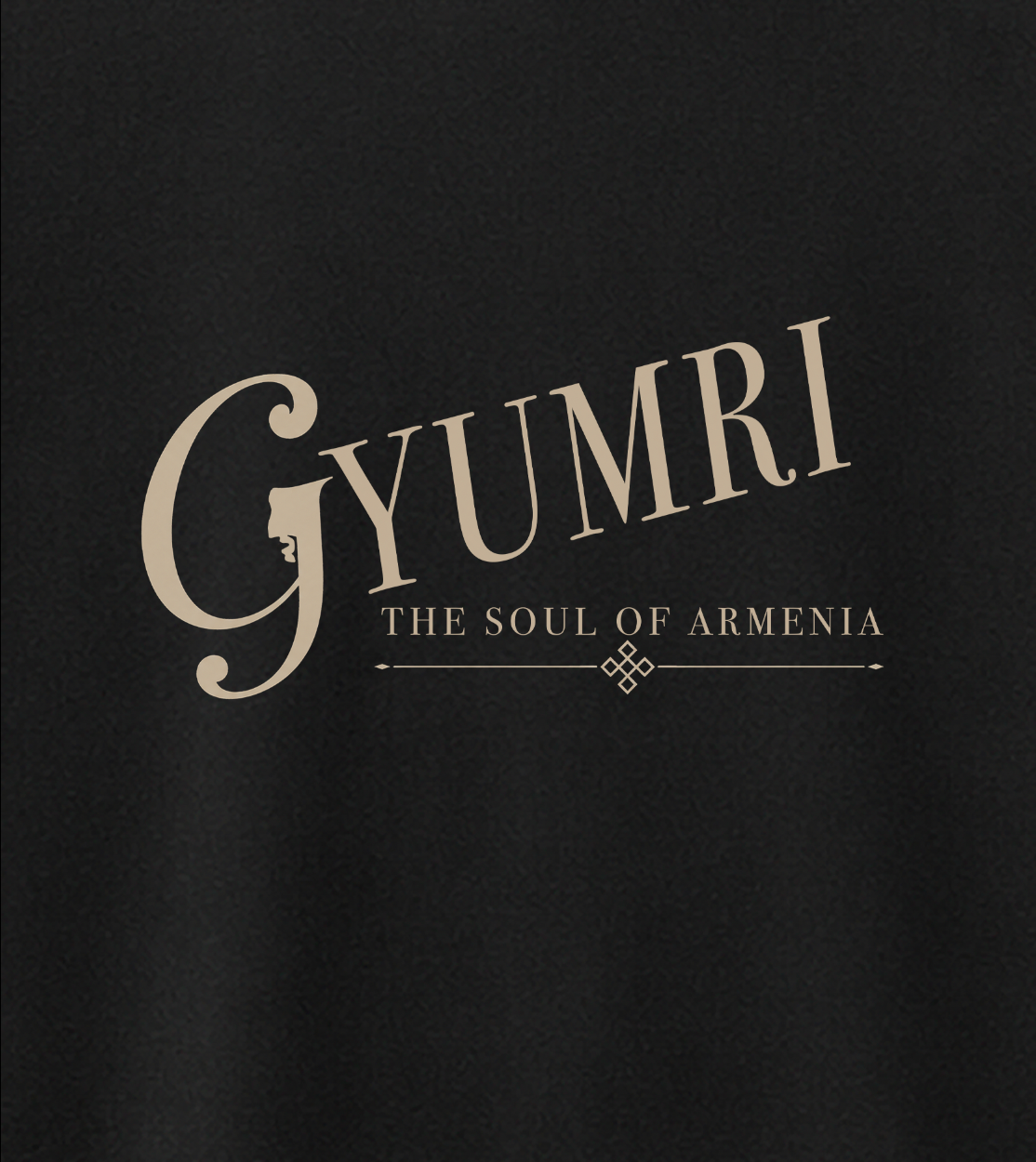 Gyumri, Soul of Armenia Armenian tee — Hayk Heritage