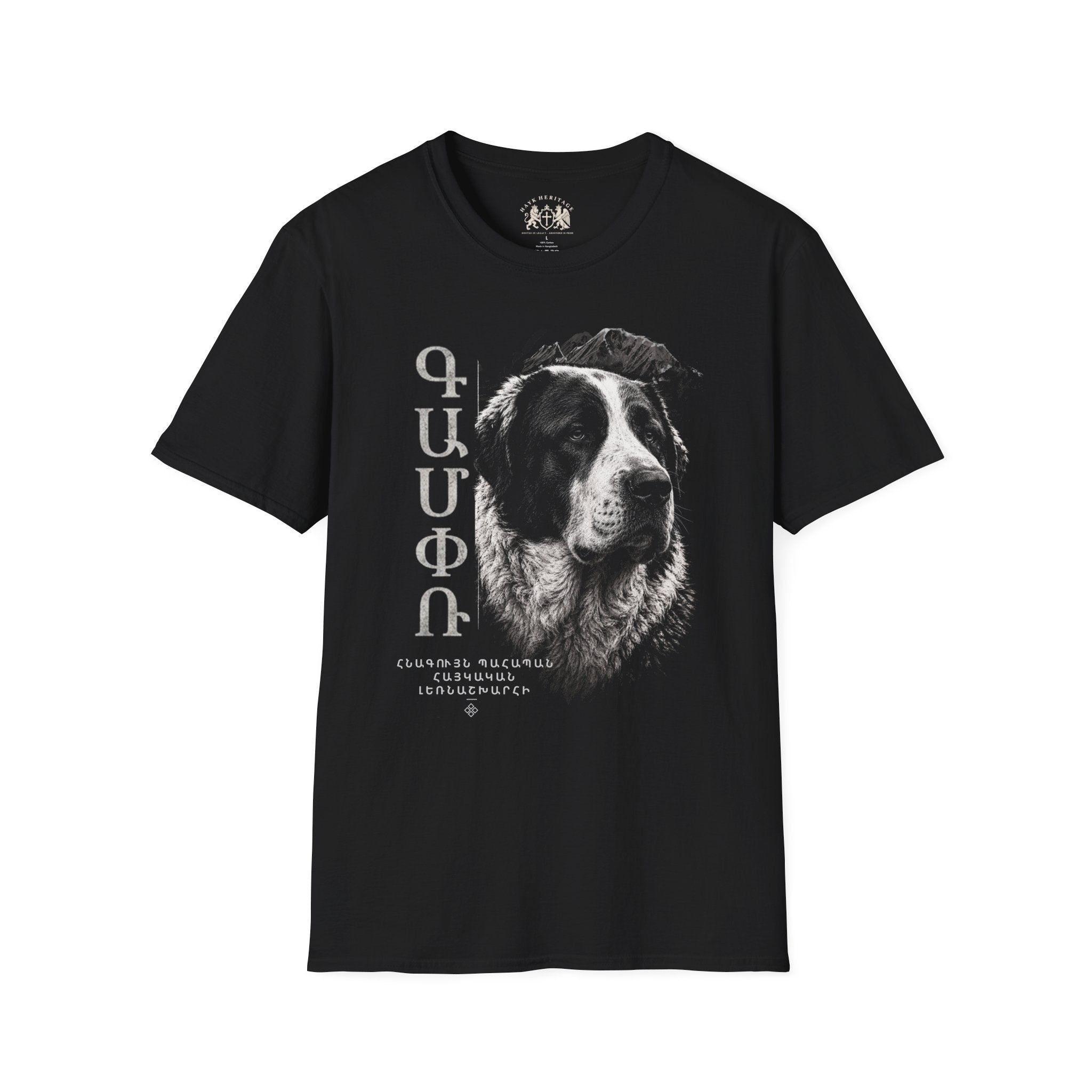 GAMPR Armenian Script T-Shirt — Worn view | Black